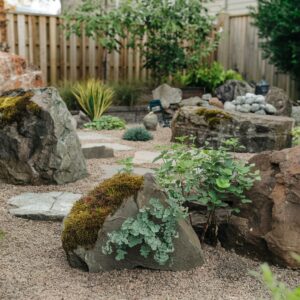 Nature Garden in backyard