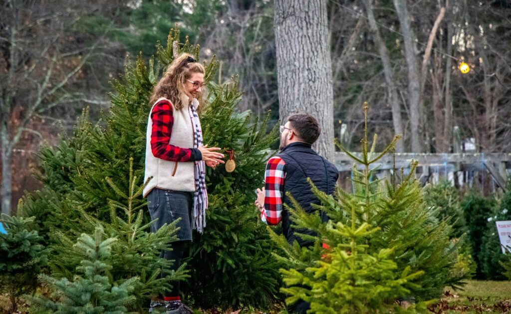 christmas tree farm Crew