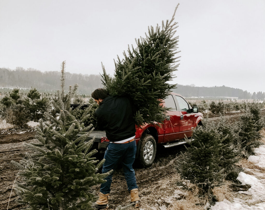 christmas tree farm photoshoot (6)